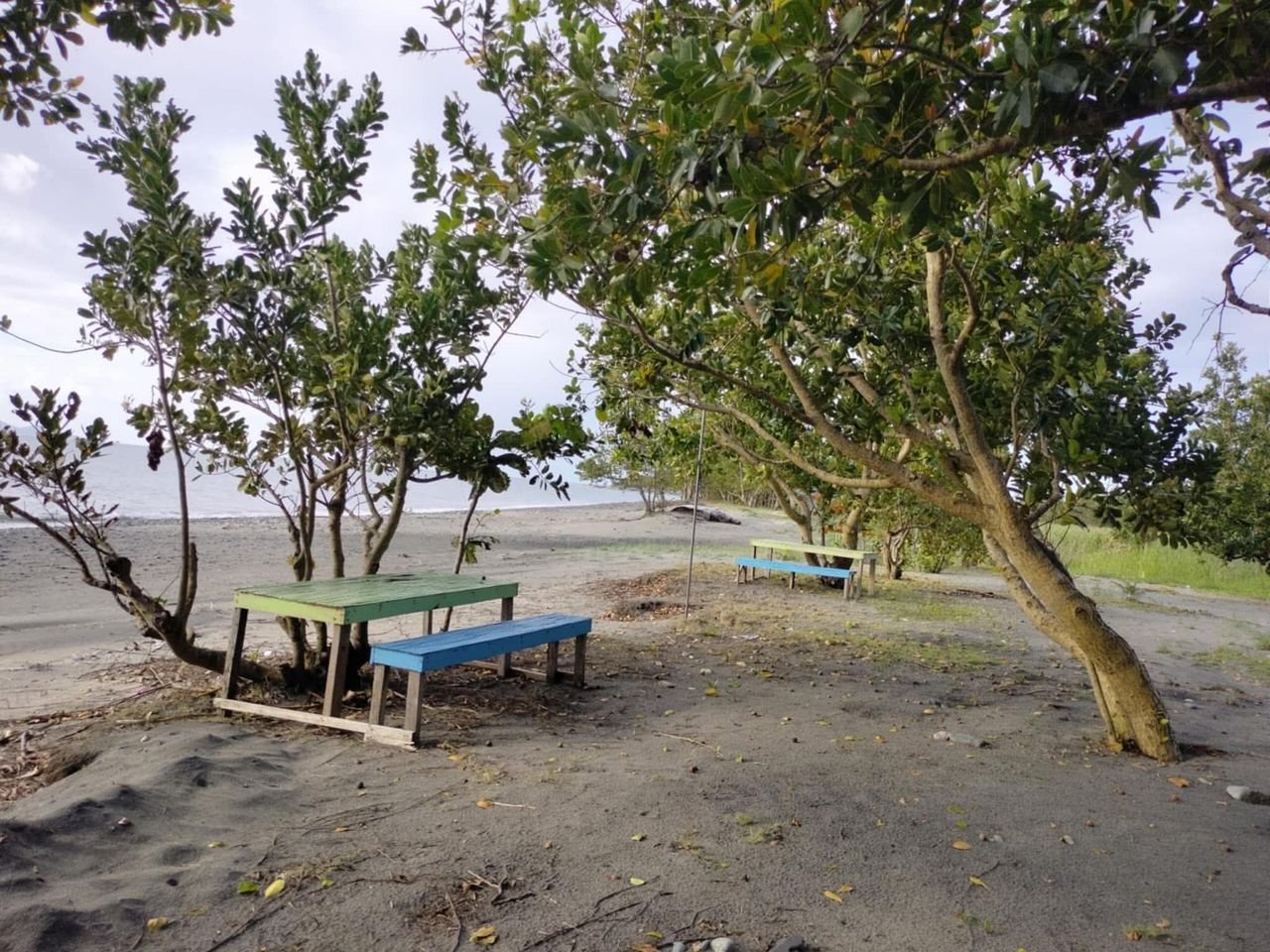 Picnic tables under the trees on the shore
