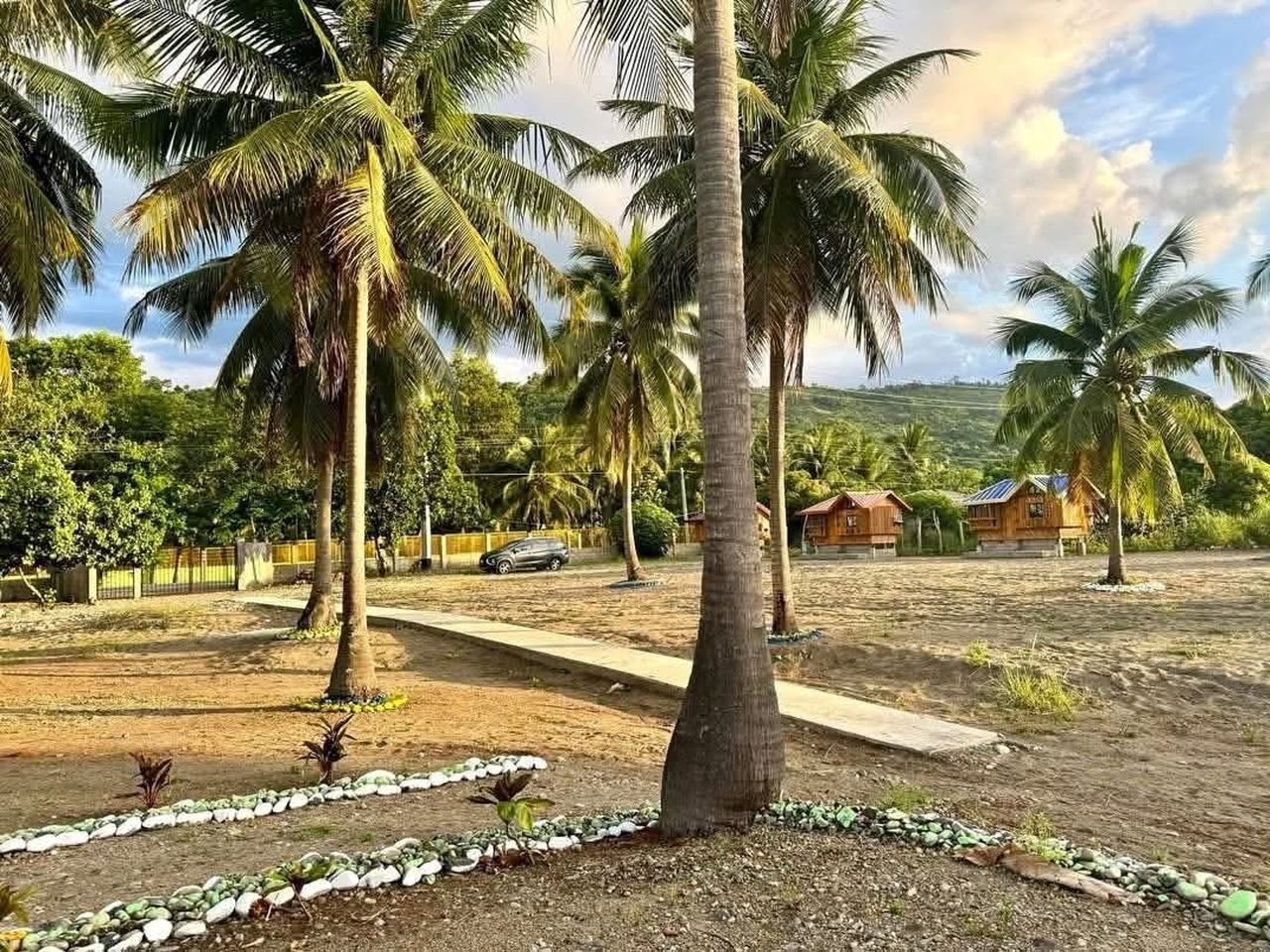 The grounds and the coconut grove